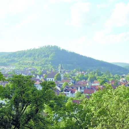 In Baden-wurttemberg Апартаменты